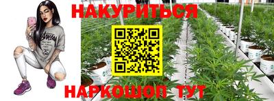 дистиллят марихуана Гай