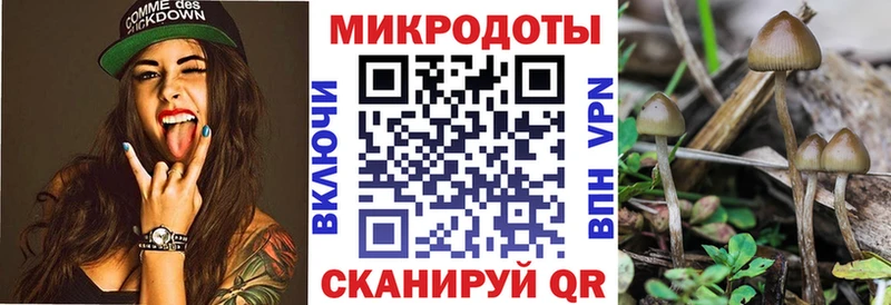 Галлюциногенные грибы мухоморы  наркошоп  Карачаевск 